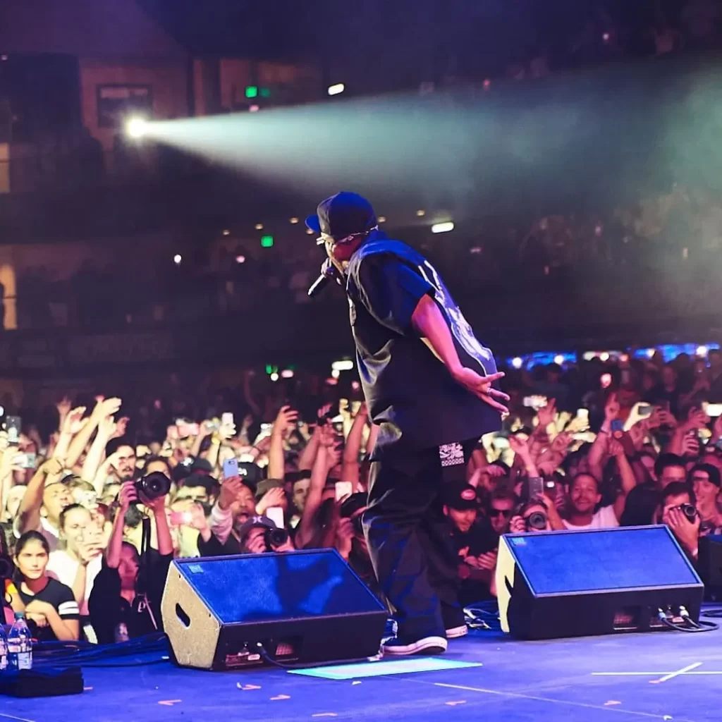 Ice Cube performance on stage