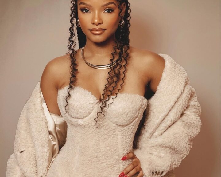 Halle Bailey's Net Worth